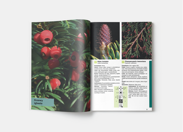 333 rośliny ogrodowe