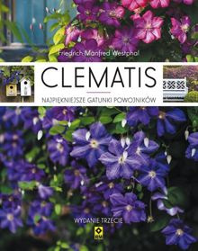 Clematis