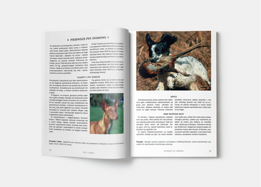 Pies. Poradnik opiekuna