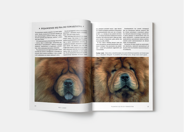 Pies. Poradnik opiekuna