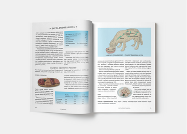 Pies. Poradnik opiekuna