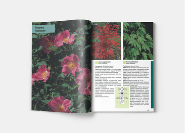 333 rośliny ogrodowe