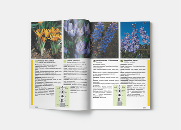 333 rośliny ogrodowe