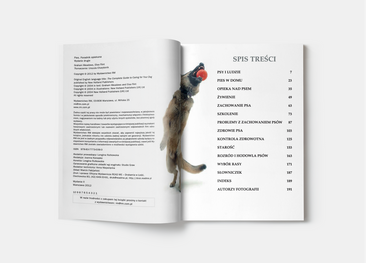 Pies. Poradnik opiekuna