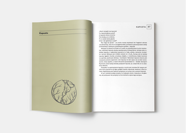 Kuchnia pełna warzyw