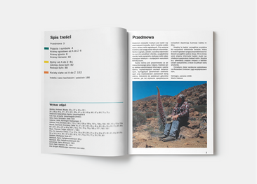 333 rośliny ogrodowe