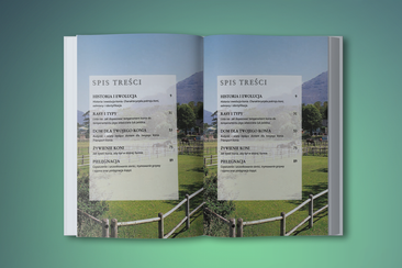 Koń. Poradnik opiekuna