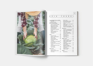 Kuchnia pełna warzyw