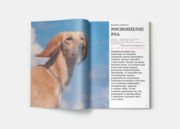 Jak zrozumieć psa