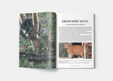Kot. Poradnik opiekuna
