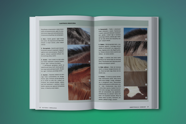 Koń. Poradnik opiekuna