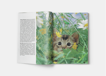 Kot. Poradnik opiekuna